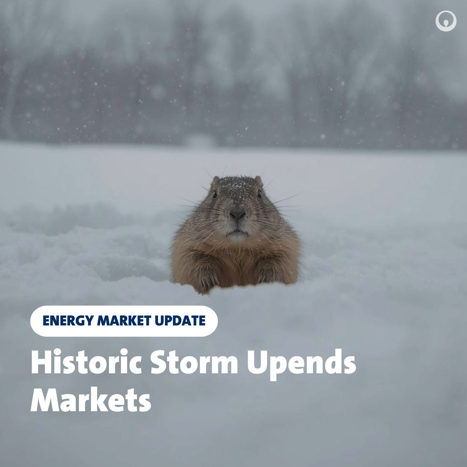 Feb 3, 2026 - Historic Storm Upends Markets